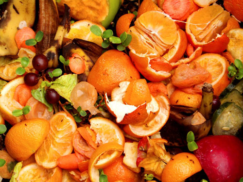photograph of compost