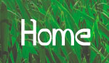 link to home page